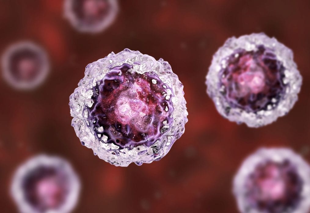 Celularity Announces Positive DMC Safety Review and Continuation of its Phase I/II CYNK-001-COVID-19 (CYNKCOVID) Study