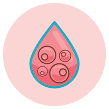 LifebankUSA_Why_Bank_Placenta_Stem_Cells_Icon