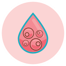 LifebankUSA_Placental_Stem_Cell_Bank LifebankUSA_Why_Bank_Placenta_Stem_Cells_Icon