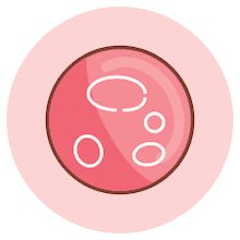 Lifebank_Placenta_Tissue_Advancements Lifebank_Why_Bank_Placental_Tissue_Icon